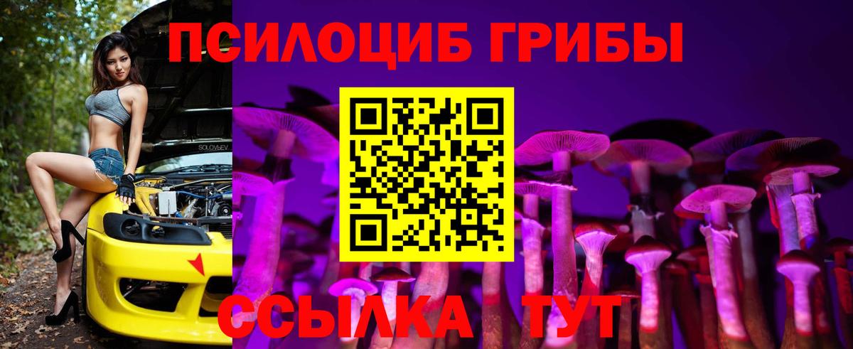 Псилоцибиновые грибы MAGIC MUSHROOMS Холмск